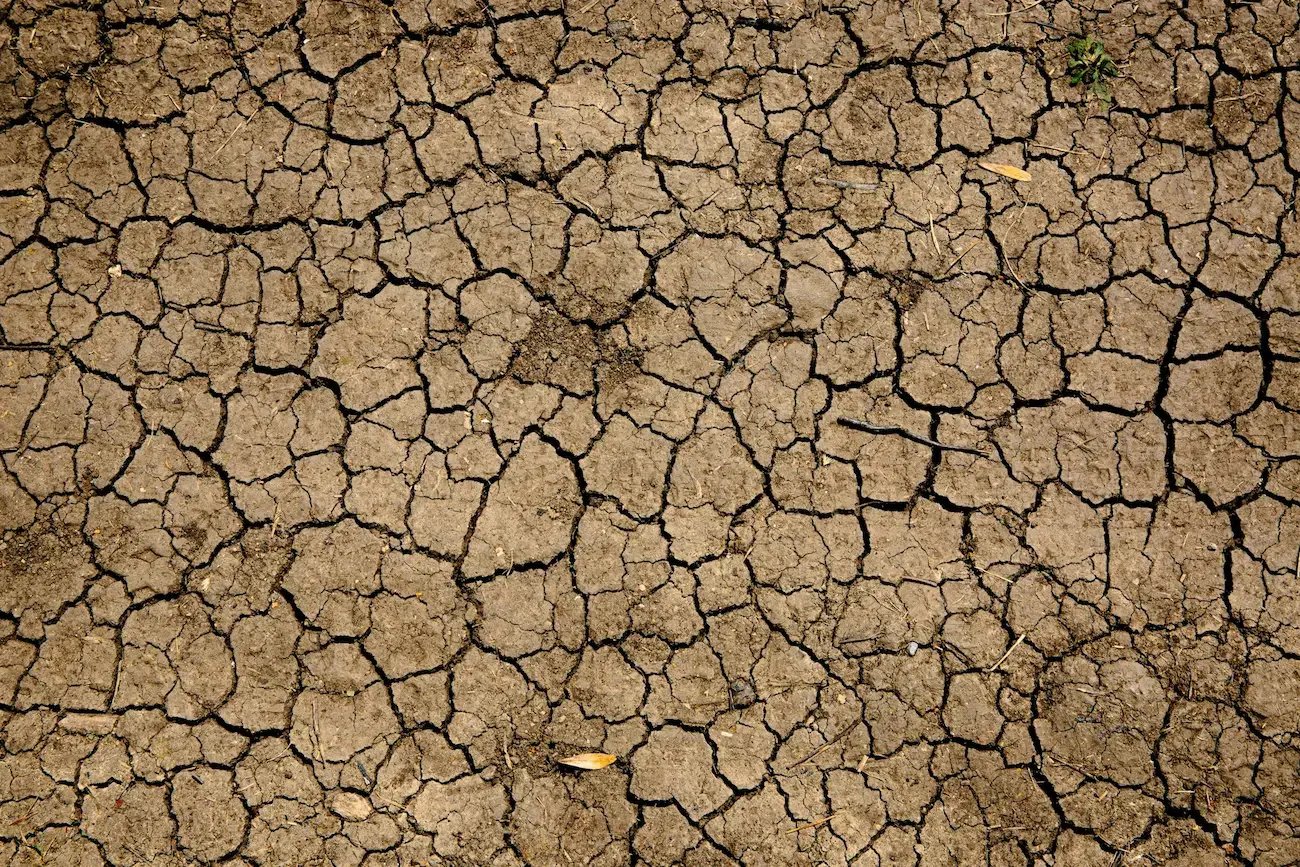 Cracked earth due to heatwave