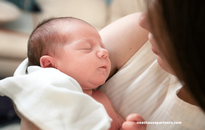 maternity/paternity rights